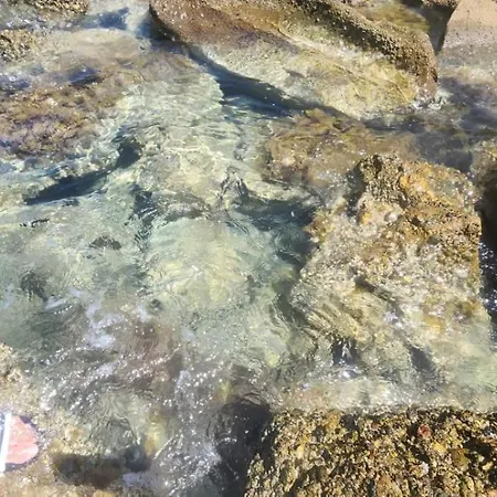 Modern Ibra 3 ドゥラス